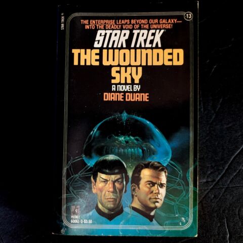 13 The Wounded Sky Star Trek The Original Series Paperback Book image 0