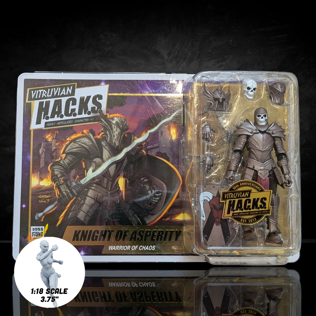 Knight of Asperity 10th Anniversary Male Figure -Vitruvian H.A.C.K.S. 1:18 Scale Action Figure