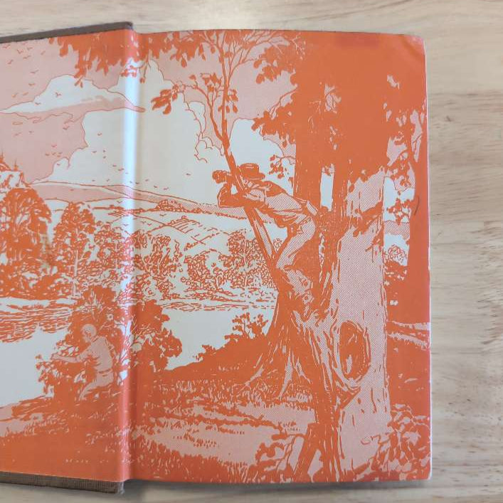 23 The Melted Coins (Dark Brown): Vintage Hardy Boys Book image 1