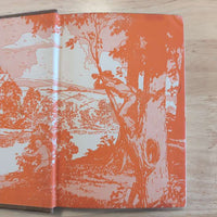 23 The Melted Coins (Dark Brown): Vintage Hardy Boys Book image 1