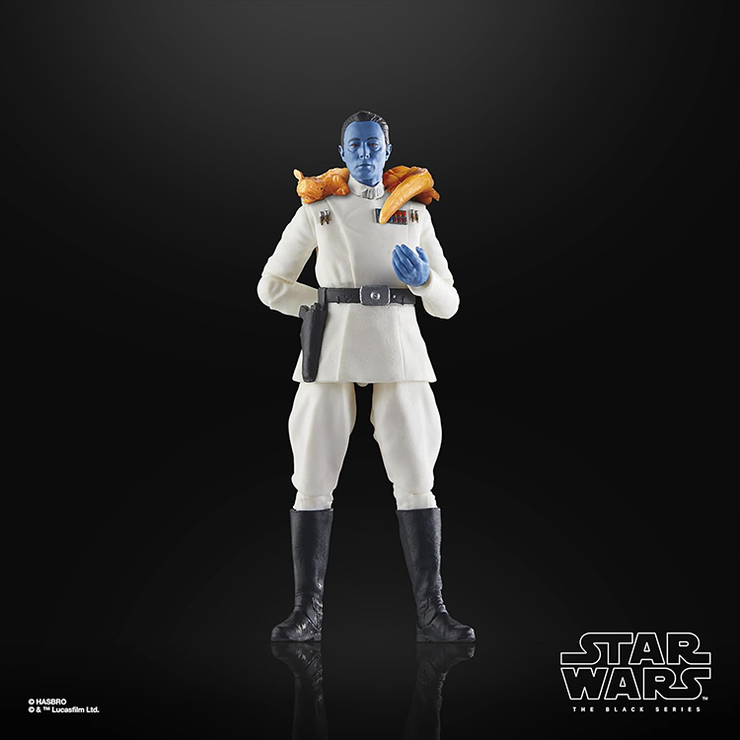 Masters of Evil - Grand Admiral Thrawn Star Wars The Black Series Action Figure image 5