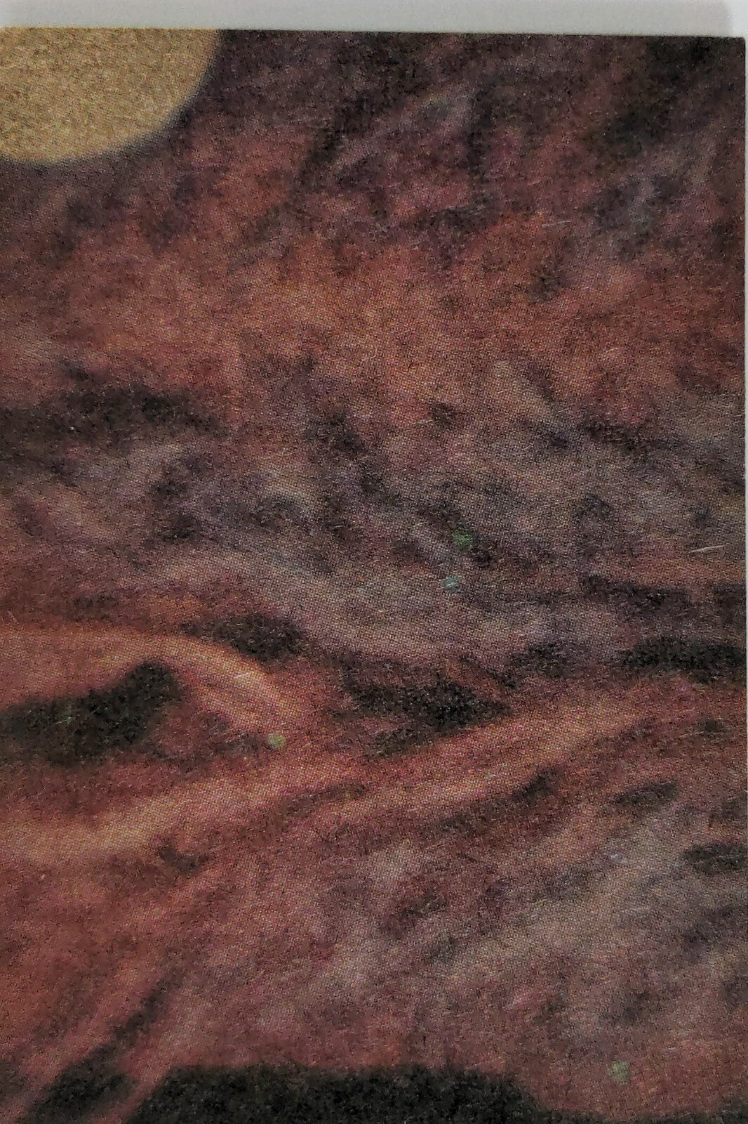 Close-up of faded vintage 1977 Topps Star Wars Trading Card from Go Figment Green Series 4 set