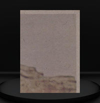 Blank vintage 1977 Topps Star Wars trading card backing from Go Figment on black display background