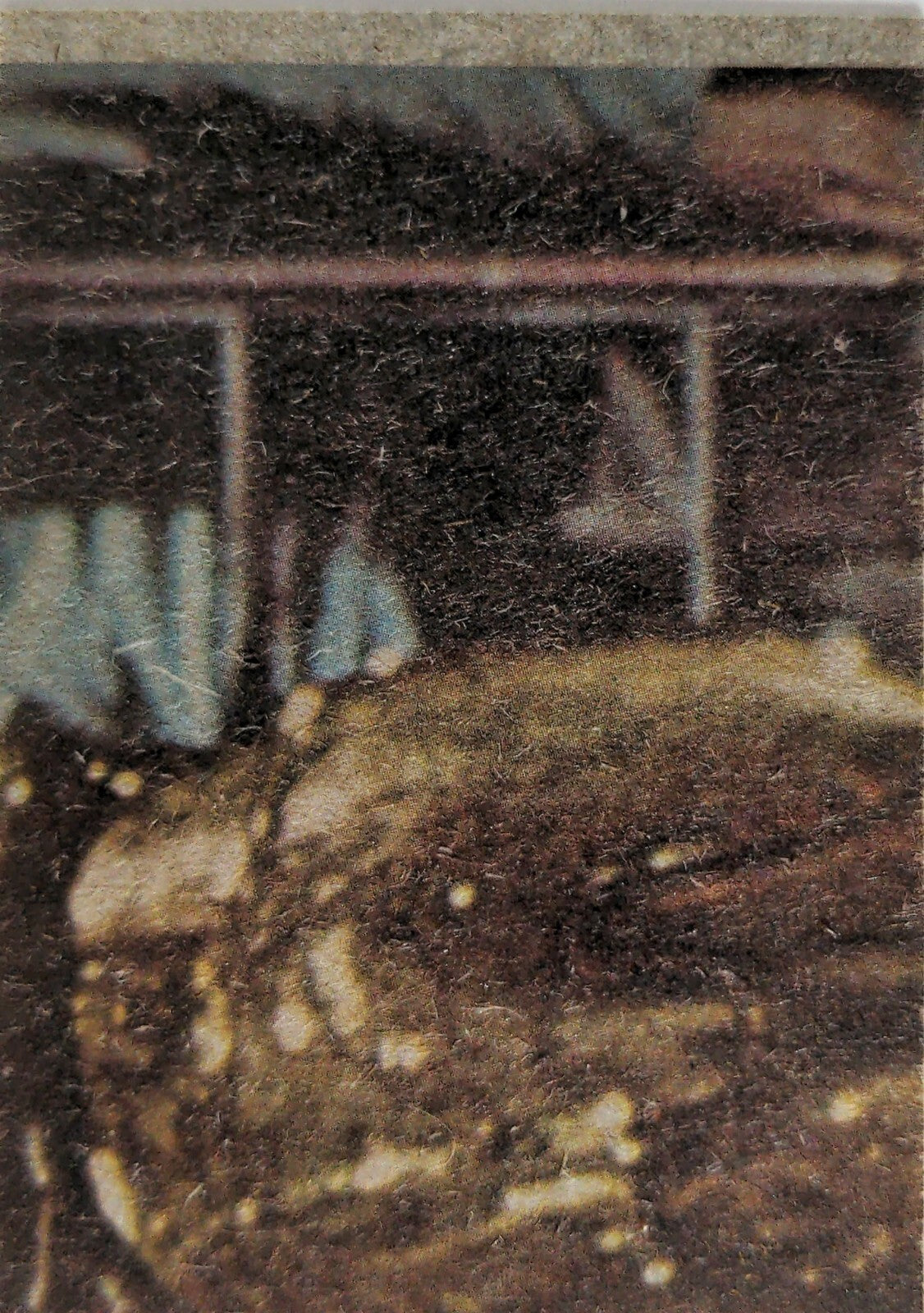 Close-up of worn and textured surface with blurred background featuring dark and light areas