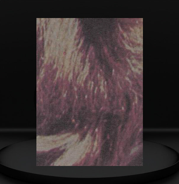 Close-up of vintage 1977 Topps Star Wars trading card featuring textured details from Go Figment collection