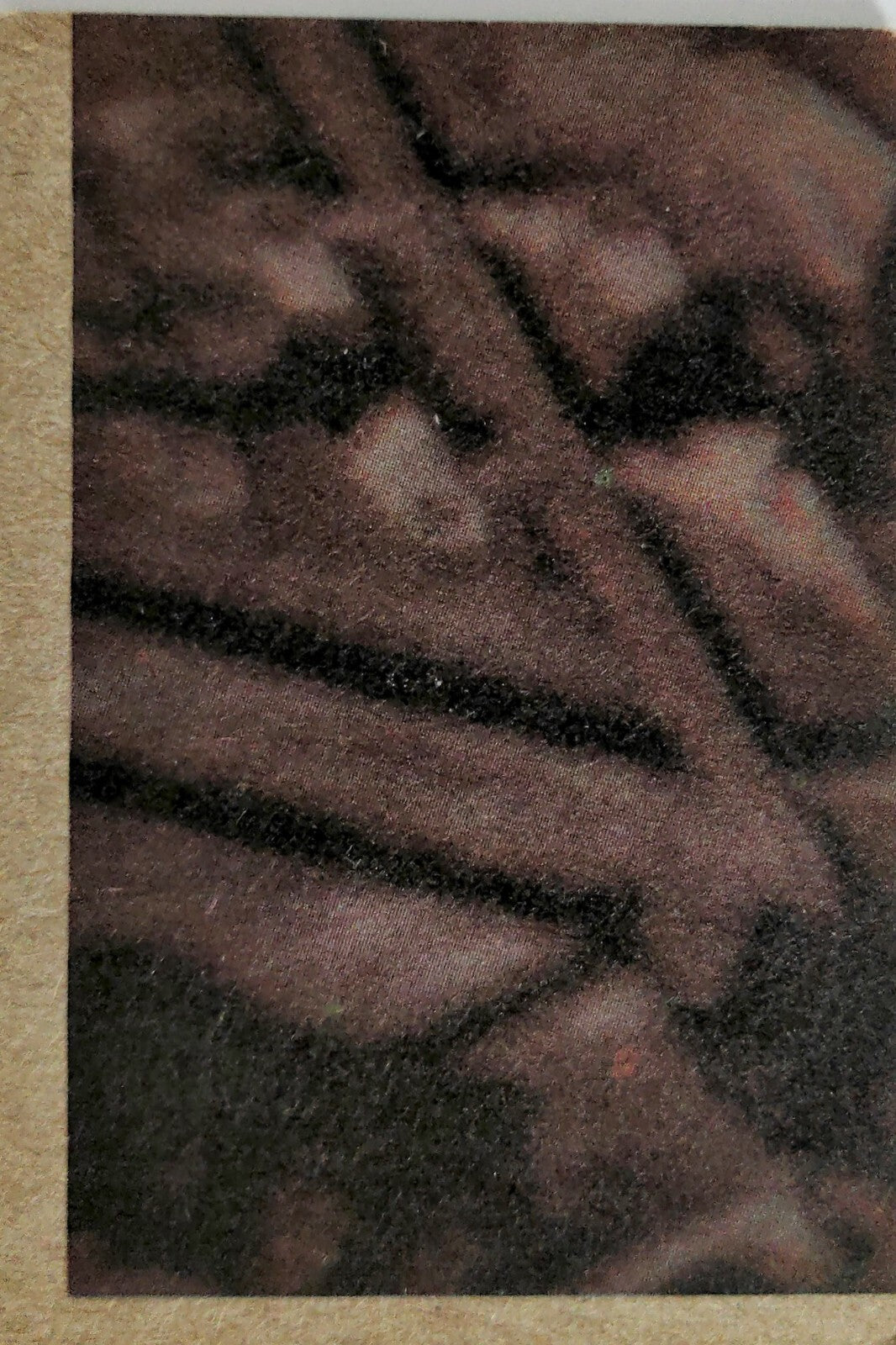 Close-up of vintage 1977 Topps Star Wars trading card texture from Go Figment collection