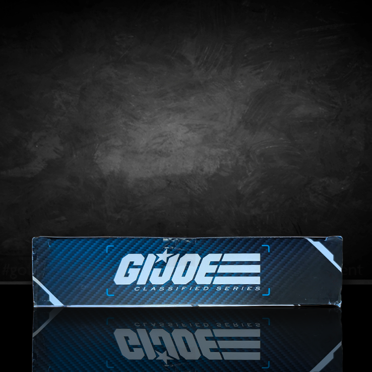 Cobra Valkyries Troopers 2 Pack GI Joe Classified Series 6in. not mint image 3