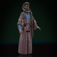 Mother Aniseya Star Wars Retro Collection Action Figure | 1:18 Scale | Acolyte image 1