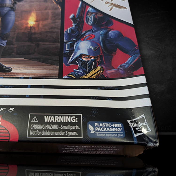 Cobra Valkyries Troopers 2 Pack GI Joe Classified Series 6in. not mint image 4