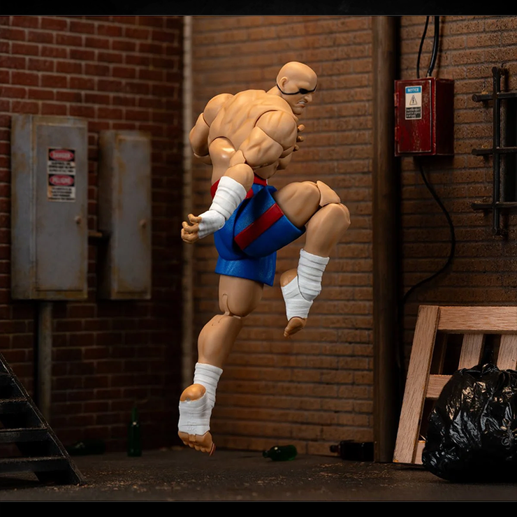 Ultra Street Fighter II Sagat 6-Inch Scale Deluxe Action Figure image 8
