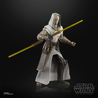 Hasbro Star Wars Black Series Jedi Temple Guard 6" Action Figure NEW image 3