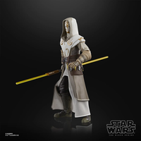 Hasbro Star Wars Black Series Jedi Temple Guard 6" Action Figure NEW image 6
