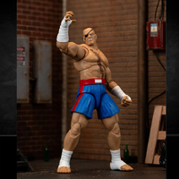 Ultra Street Fighter II Sagat 6-Inch Scale Deluxe Action Figure image 3