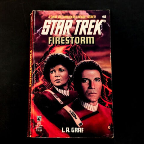 68 Firestorm Star Trek The Original Series Paperback Book image 0
