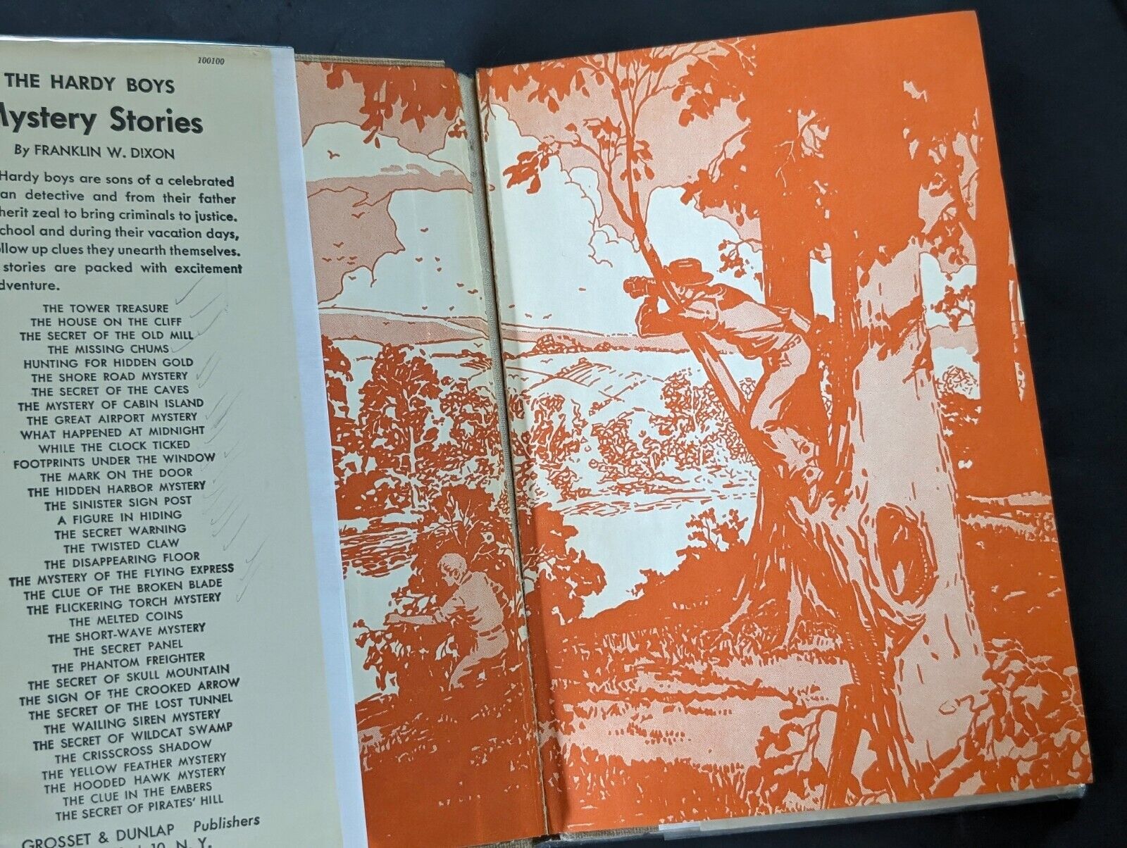 27 Secret of Skull Mountain (1948-Dust): The Hardy Boys Book image 6