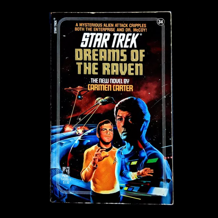 34 Dreams of the Raven Star Trek The Original Series Paperback Book image 0