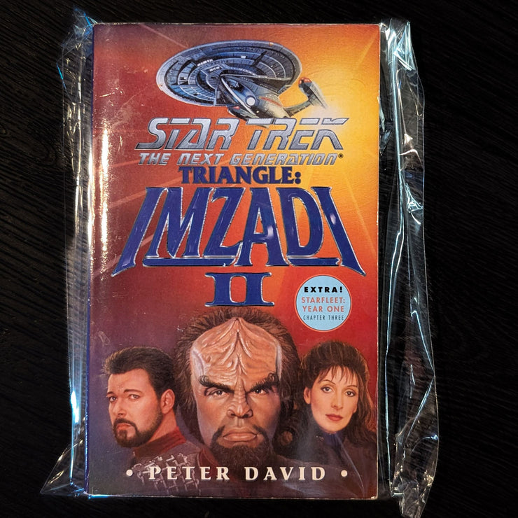 Imzadi 2: Star Trek The Next Generation Paperback Book image 0
