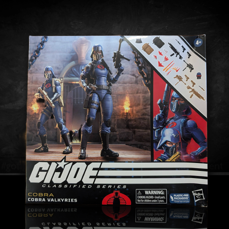 Cobra Valkyries Troopers 2 Pack GI Joe Classified Series 6in. not mint image 0