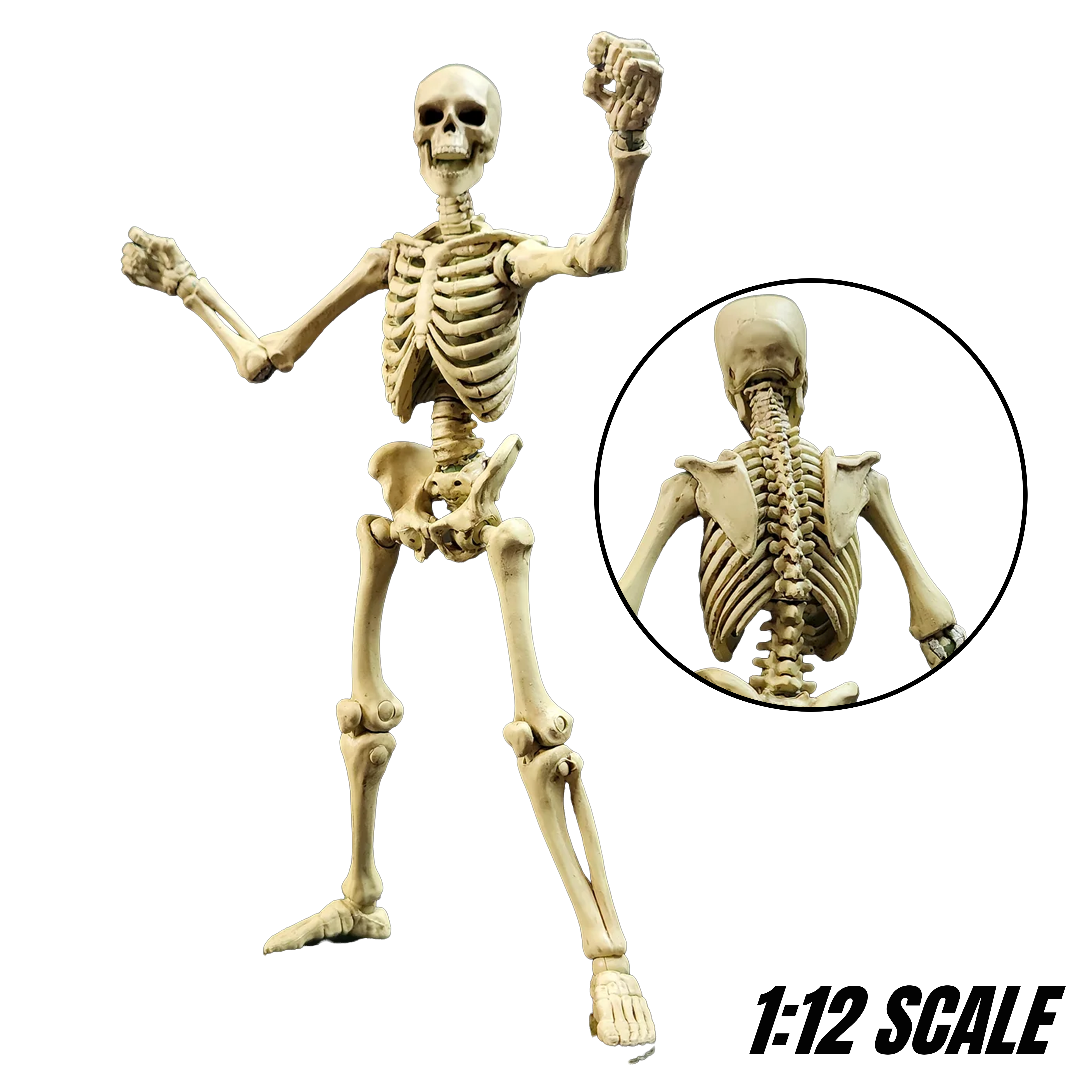 Skeleton Blank Classic Bone 6" Boss Fight Studio Figure Epic HACKS Articulated by Boss Fight Studio with back detail