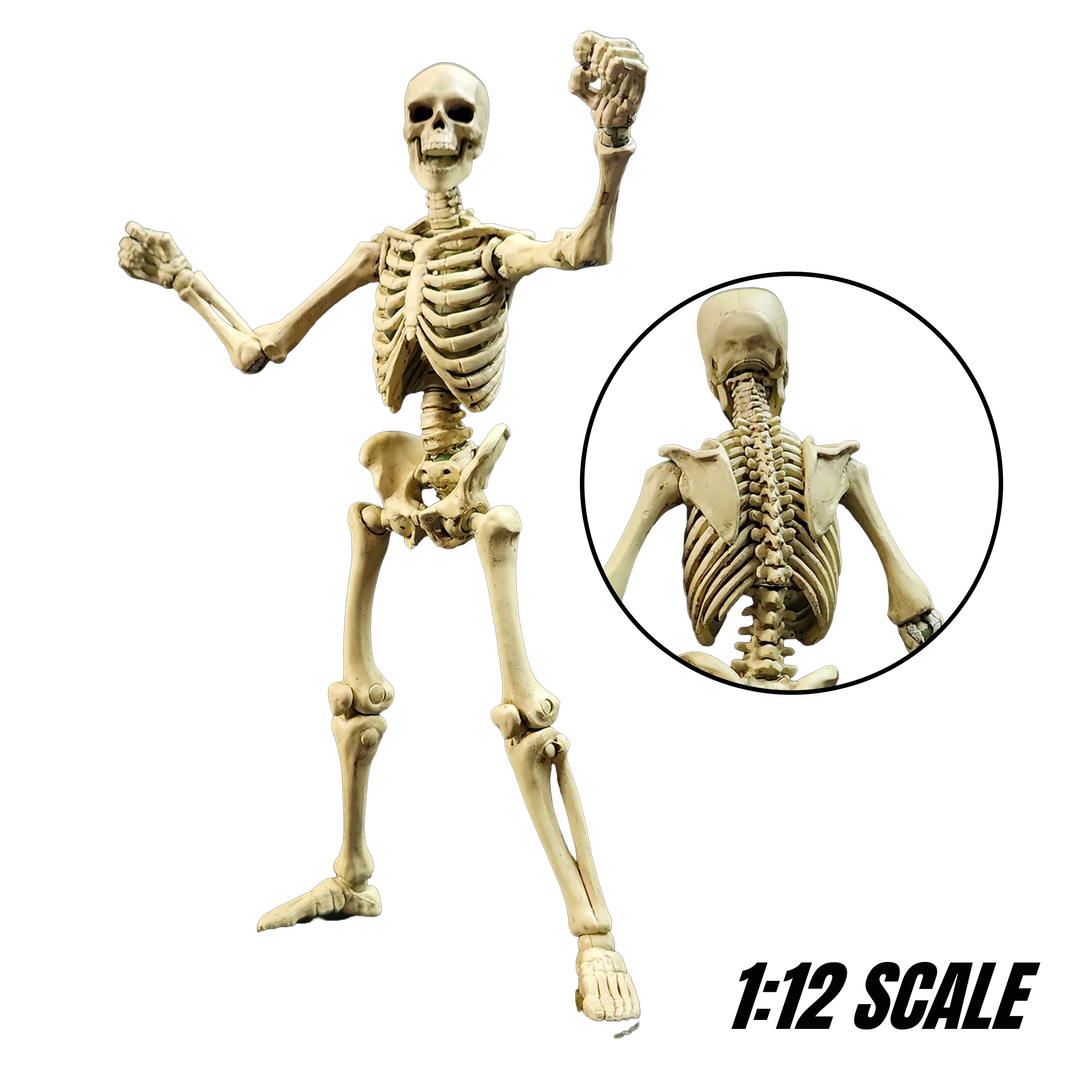 Skeleton Blank Classic Bone 6" Boss Fight Studio Figure Epic HACKS Articulated by Boss Fight Studio with back detail