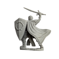 Aasimar Male Paladin - D&D Nolzur's Marvelous 28mm Mini-Figure 2-Pack WizKids
