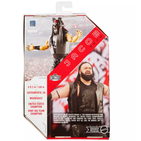 Wrestling action figure packaging featuring a bearded wrestler in black attire and championship details