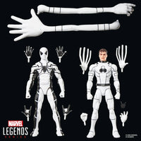 Marvel Legends Series Future Foundation Mister Fantastic & Spider-Man Action Figures Two-Pack