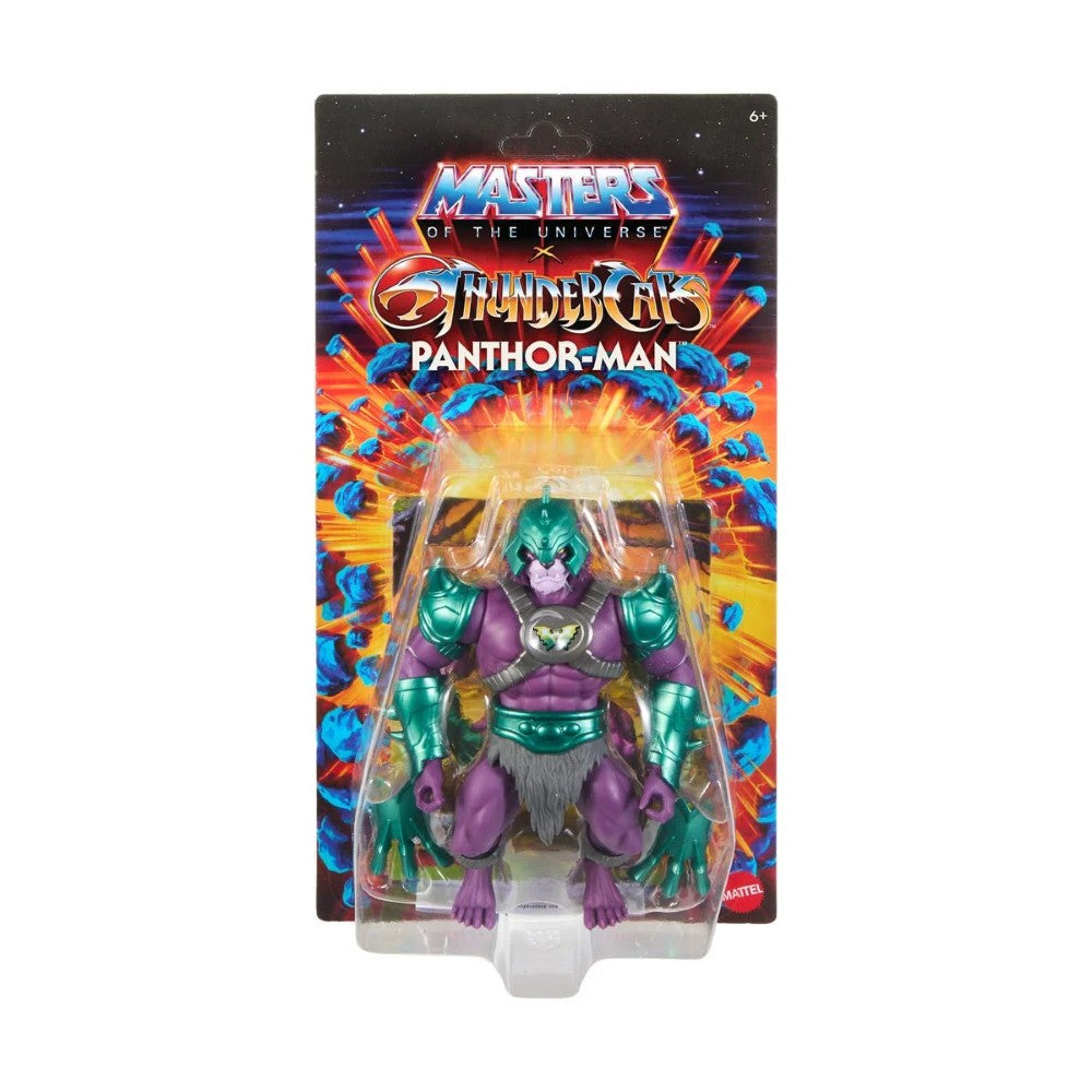 Mattel Panthor-Man 6-inch crossover figure from Masters of the Universe and ThunderCats in original blister pack