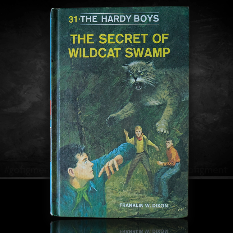 Vintage Hardy Boys book The Secret of Wildcat Swamp blue hardcover by Franklin W. Dixon, signed Rudi Nappi cover art