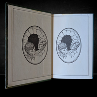 Open vintage Hardy Boys book showing black and white illustration of two boys in an archway cave design