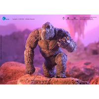 Kong Godzilla v. Kong The New Empire Hiya Toys Exquisite Basic Action Figure Scale 6-Inch Action Figure