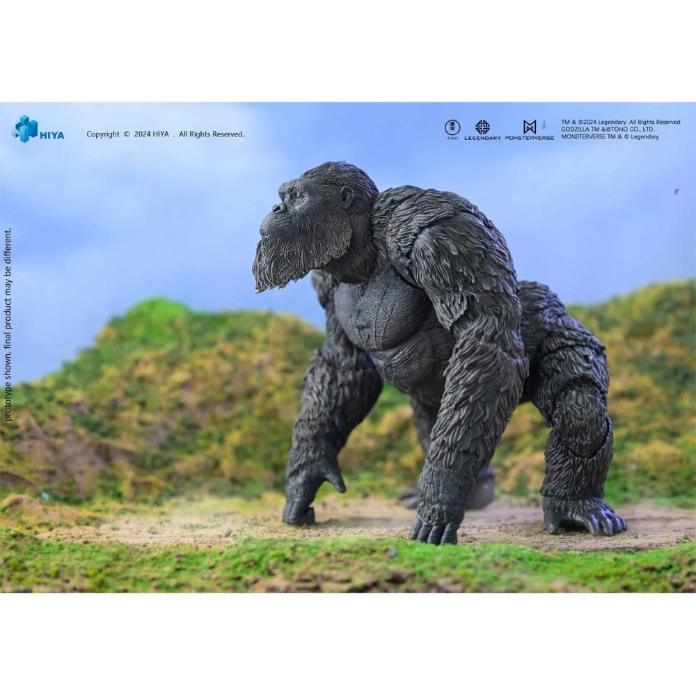 Kong Godzilla v. Kong The New Empire Hiya Toys Exquisite Basic Action Figure Scale 6-Inch Action Figure