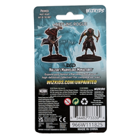 Tiefling FeMale Rogue - D&D Nolzur's Marvelous 1.5 inch Mini-Figure 2-Pack WizKids packaging by Wizkids