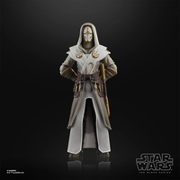 Hasbro Star Wars Black Series Jedi Temple Guard 6" Action Figure NEW image 4