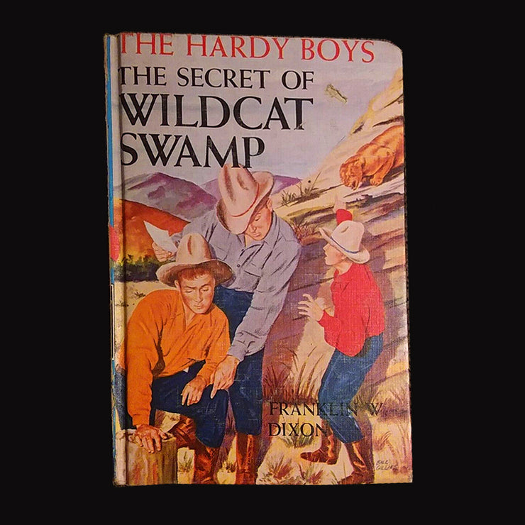 31 Secret of Wildcat Swamp (1952-Brown):  Vintage Hardy Boys Book Blue-Back image 0