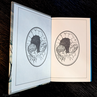08 The Mystery of Cabin Island (1966-CAMEO):  Hardy Boys Book Blue Back image 2