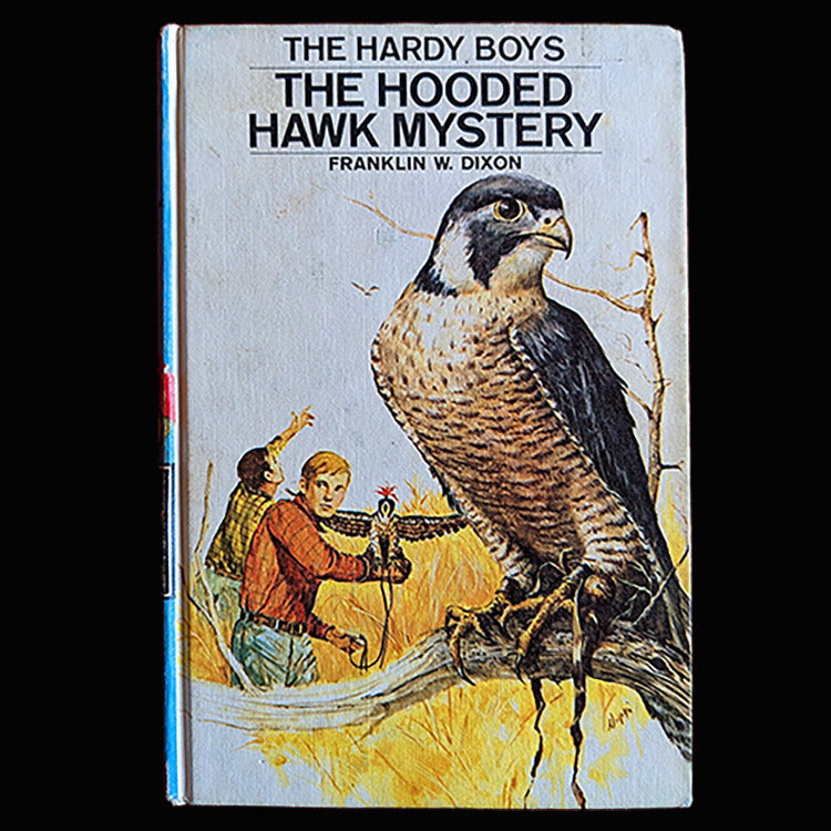 34 The Hooded Hawk Mystery (1954):  Vintage Hardy Boys Book Blue-Back image 0