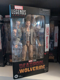 Hasbro Marvel Legends Deadpool and Wolverine Logan 6-inch action figures in collectible window box packaging