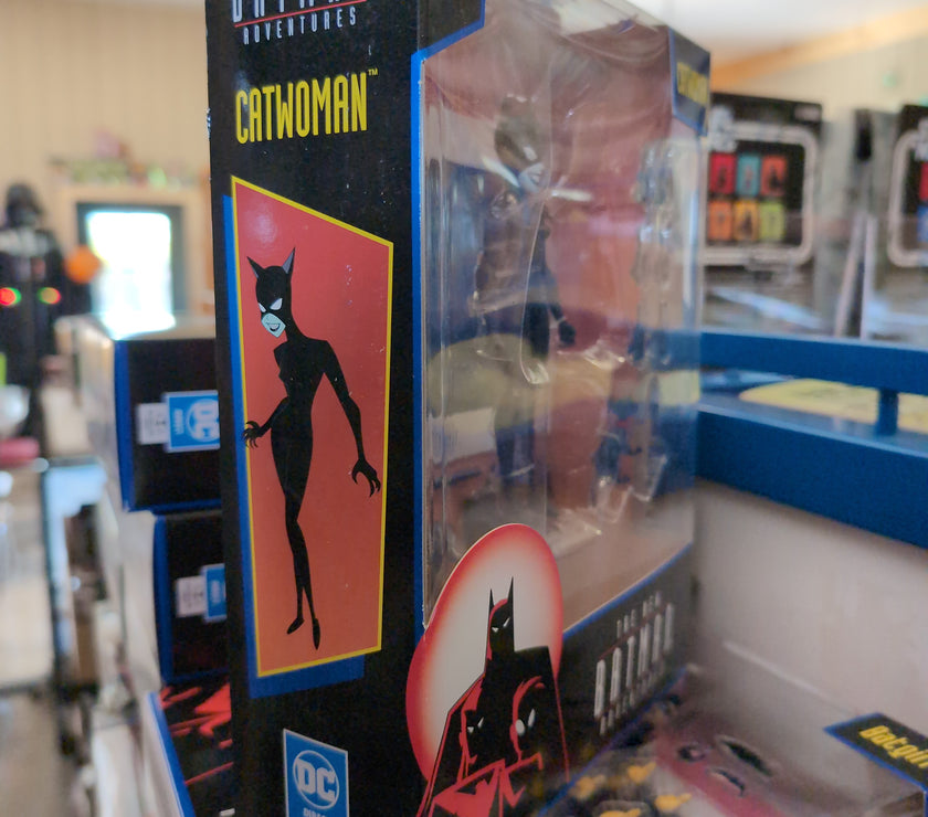 Catwoman The New Adventures of Batman 6in Scale Action Figure