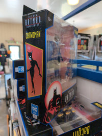 Catwoman The New Adventures of Batman 6in Scale Action Figure